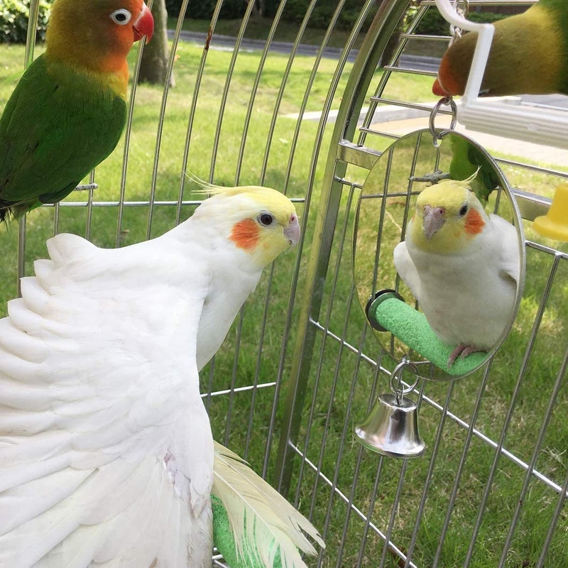 Litewoo Bird Mirror Toy with Bell Swing Hanging Ringer Leather Mirror Toy Parrot Cage Accessories Decoration for Small and Medium Parakeet Cockatiel Finch Lovebird Conure Budgie Cockatoo African Grey (E) - Image 5